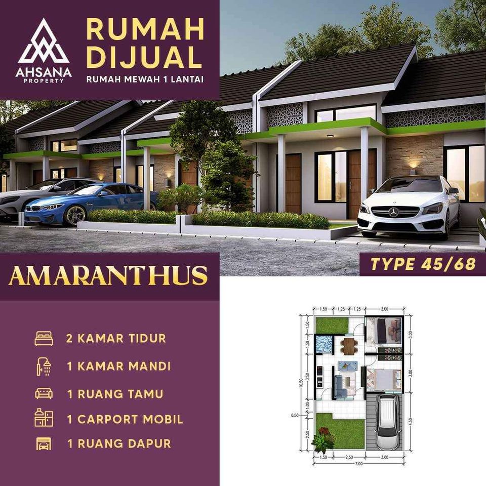 Amaranthus Type 45